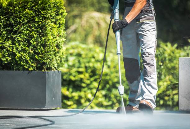 Best Solar Panel Cleaning  in Oak Ridge, NJ